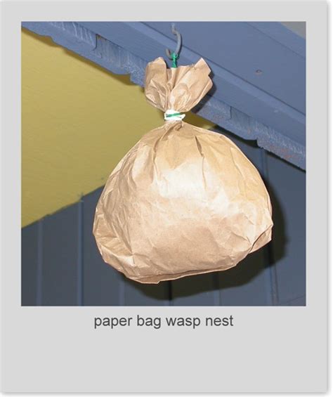 fake wasp nest paper bag|paper bag wasp tricks.